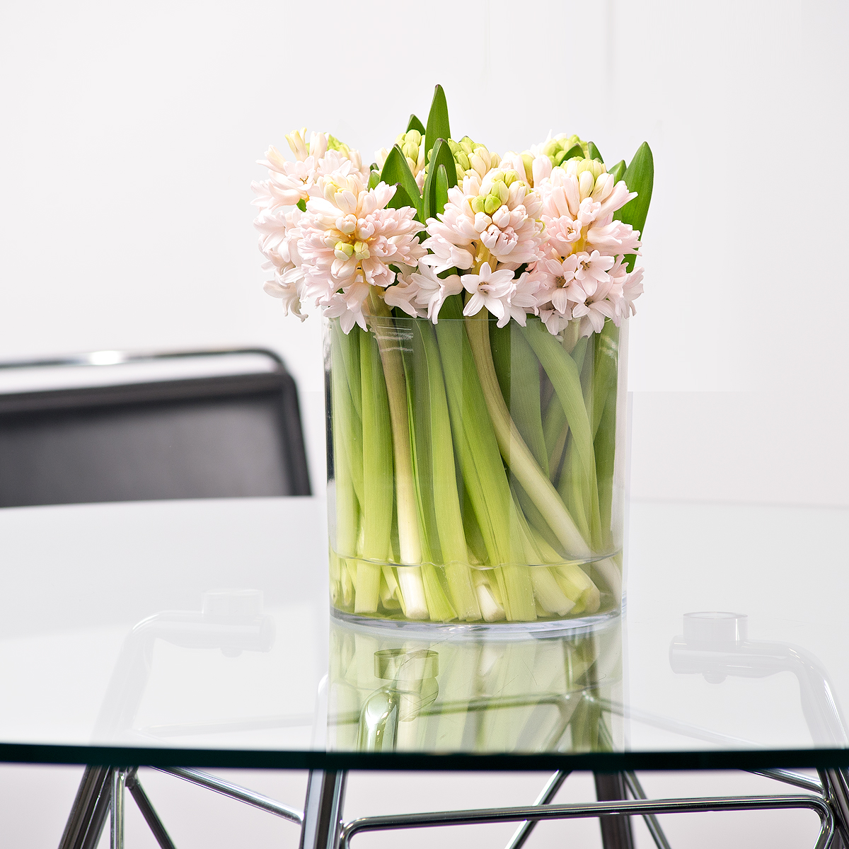 Hyacinths in Vase Delivery in Belgium by GiftsForEurope