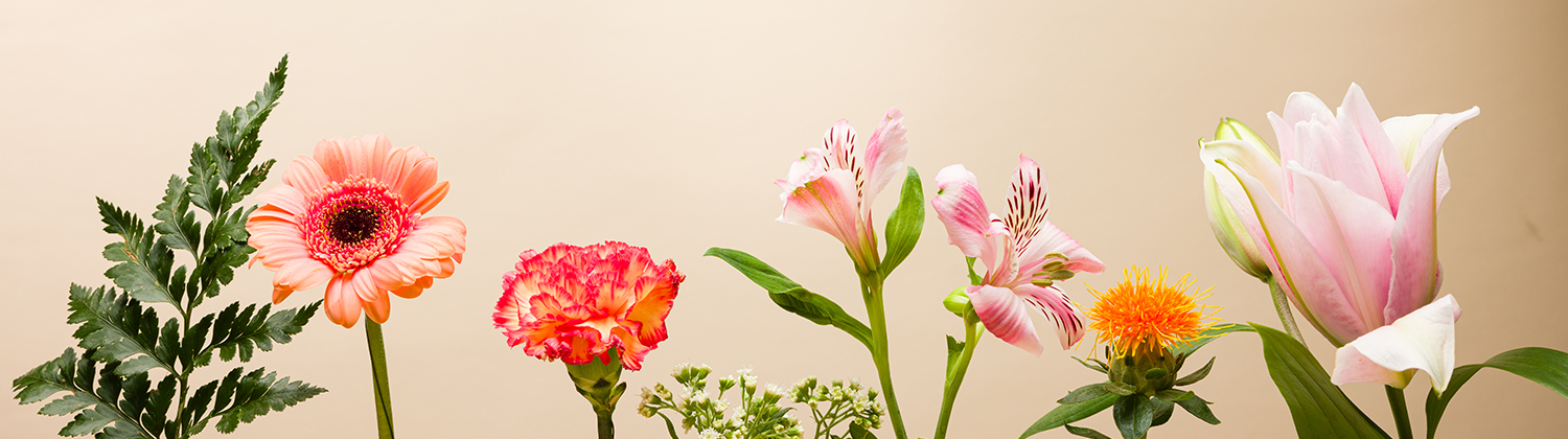 Entrega de flores en Austria para toda ocasión