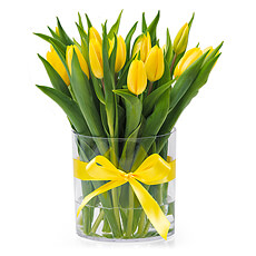 Brighten any day with this nice flower arrangement of yellow tulips.