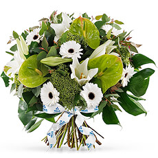 When you send this stunning white bouquet, not only will the recipient be delighted, but you will be supporting a worthy organization, Trias of Belgium.