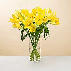 Is there anything more uplifting than bright yellow flowers? This star of this exquisite bouquet is eye-catching yellow lilies. The lilies are enhanced by dainty white and dusty purple flowers and lush foliage. The lily bouquet is arranged by hand by our in-house florists.
