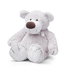 Baggio the Bear is a soft, cuddly teddy bear who's a big friend to small children.
