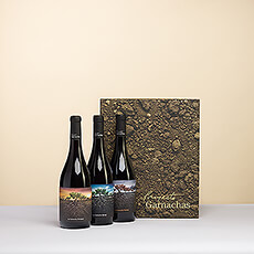 The collection of wines "Proyecto Garnacha De España" is a tribute to a variety that has historically been forgotten and is now back to be discovered by the entire world.