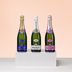 Presenting an impressive Champagne tasting experience gift, courtesy of legendary Champagne house Pommery. This "Specials" tasting gift features a trio of full-sized 75 cl bottles presented in an elegant gift box. Discover the pleasures of clasic Pommery Brut Royal, elegant Brut Apanage Blanc de Blancs, and beautiful Pommery Brut Rosé Royal.