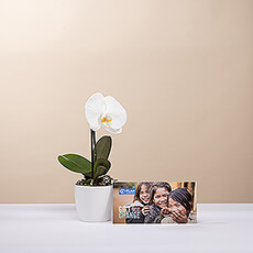 Orchidee & PLAN Cadeaukaart