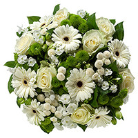 Send flowers. Search our online gift shop and discover a wonderful collection of gifts for any occasion, valentine presents, wedding bouquets, fruit baskets, ...