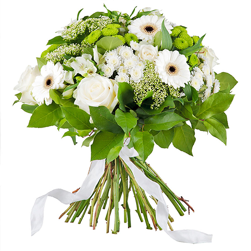 Simply White - Prestige (45 cm)