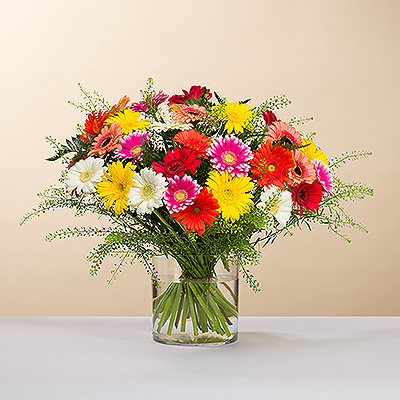 Put a smile on someone's face with a delightful bouquet of fresh Gerbera daisies in bright sorbet colors!