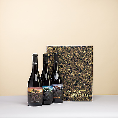 The collection of wines "Proyecto Garnacha De España" is a tribute to a variety that has historically been forgotten and is now back to be discovered by the entire world.