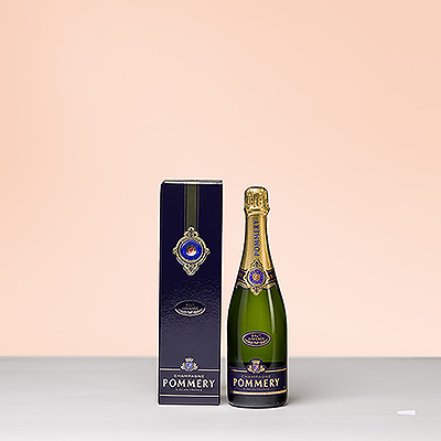 Le champagne Pommery Brut Apanage est un champagne de haute gamme spécialement conçu pour la fine cuisine. Le Brut Apanage possède la fraîcheur et la finesse caractéristiques du style Pommery, avec un Chardonnay affirmé qui distingue cette cuvée.
