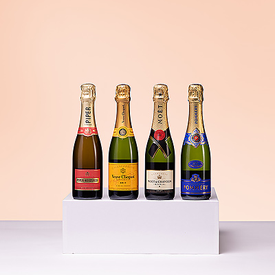 This luxury Champagne tasting experience is a spectacular gift to give or to receive. A quartet of four 37.5 cl half bottles of top French Champagne brands are elegantly presented in a stylish gift box. Revel in the festive classic Champagnes by Veuve Clicquot, Moët & Chandon, Piper-Heidsieck, and Pommery.