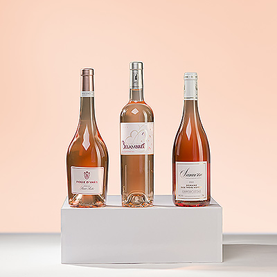 Rosé Wine Tasting Sancerre