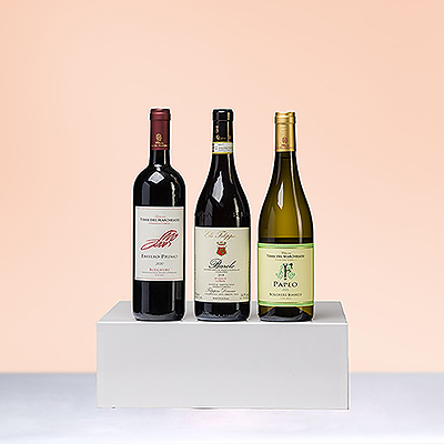 Explore los deliciosos vinos de Italia en este trío de cata de vinos italianos que incluye Elio Filippino Barolo "La Morra" Rouge y un par de vinos Fattoria Terre del Marchesato Bolgheri, uno blanco y otro tinto.