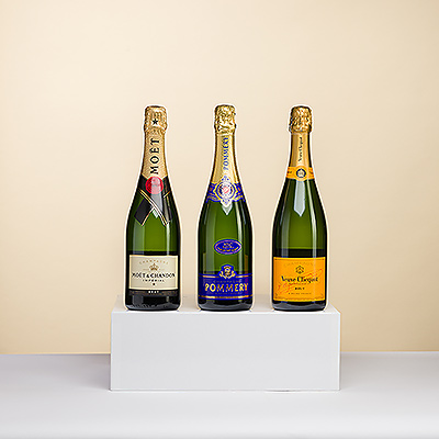 Französischer Champagner ist der ultimative Ausdruck von Luxus. Dieses elegante Champagner-Degustationstrio umfasst drei ikonische Marken: Champagne Veuve Clicquot Brut, Moët Impérial Brut, Champagne Pommery Brut Royal