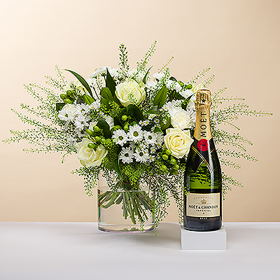 Tan brillante como un diamante centelleante, le presentamos este elegante ramo, todo en blanco. El ramo va acompañado de una festiva botella de champán Moët & Chandon para una deliciosa experiencia de regalo.
