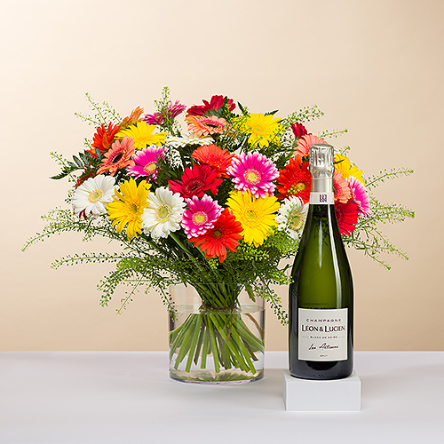 Gerbera Mix Medium & Champagne Leon & Lucien