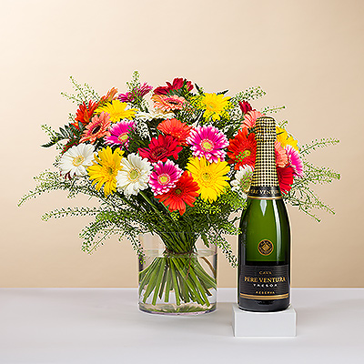 Zaubern Sie jemandem ein Lächeln ins Gesicht mit einem herrlichen mittelgroßen Strauß frischer Gerbera-Gänseblümchen in leuchtenden Farben! Begleitet werden die Blumen von einer festlichen Flasche Pere Venture Cava, dem erfrischenden Schaumwein aus Spanien.