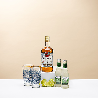 Servieren Sie die perfekten Dark & Stormy Cocktails in stilvollen Bacardi Highball Gläsern mit goldenen Rändern.