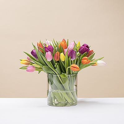 Feiern Sie den Frühling mit einem wunderschönen frischen Strauß bunter Tulpen!