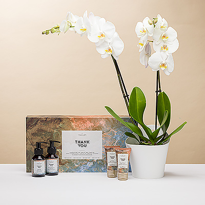 Wie könnte man seine Wertschätzung besser zum Ausdruck bringen als mit einer schönen weißen Orchidee in Kombination mit einem Dankeschön-Geschenkset von The Gift Label?