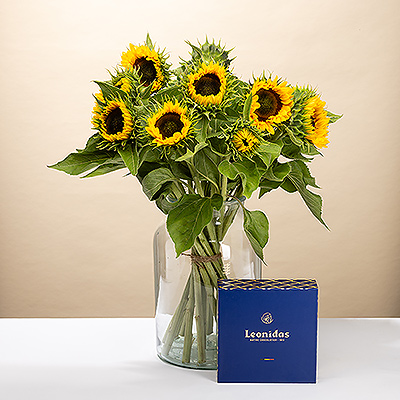 Create an unforgettable moment with this luxurious gift: a radiant bouquet of sunflowers and a box of delicious Leonidas pralines. This package combines the cheerful warmth of fresh flowers with the rich flavours of Belgian chocolate. It's the perfect way to show love, gratitude, or congratulations. Order now for a sophisticated surprise that stimulates all the senses.
