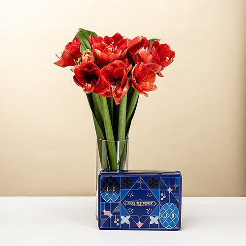 EOY 2025 : Amaryllis with Jules Destrooper Biscuits