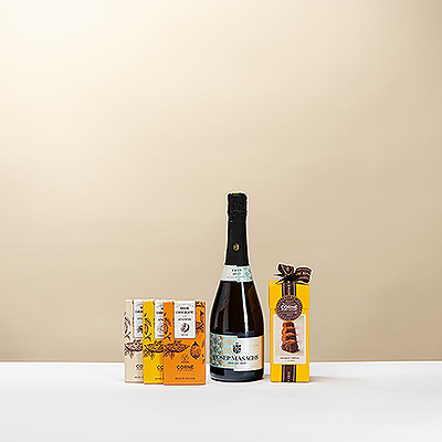Pétillant et gourmand, cet élégant cadeau a tout pour plaire. Personne ne pourra résister à la combinaison du vin mousseux Cava Josep Masachs et de nos pralines belges Corné Port-Royal .