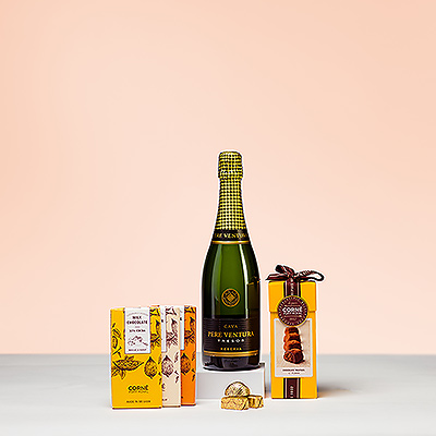 Pétillant et sucré, ce cadeau élégant a tout pour plaire. Personne ne pourra résister à la combinaison du vin mousseux Cava Pere Ventura Tresor Nature Brut et de nos chocolats belges Corné Port-Royal.