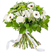 Simply White - Prestige (45 cm) [01]