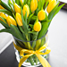 Yellow Tulips [02]