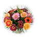 Gerbera Mix Bouquet Medium [02]