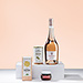 Aperitif with Rosé Wine [01]