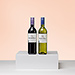 Cata de vinos de Comercio Justo Stellenrust [01]