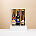 Belgian Trappist Beer Tasting [01]