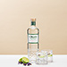 Oxley Dry Gin Set [01]