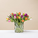 Colorful Tulips Spring Bouquet [01]