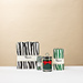 Rigaud Cypres Large Candle with Matches [01]