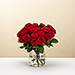 EOY 2025 : Red Roses [01]