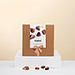 Neuhaus Giftbox : NEW Collection Discovery, 25 pcs [01]