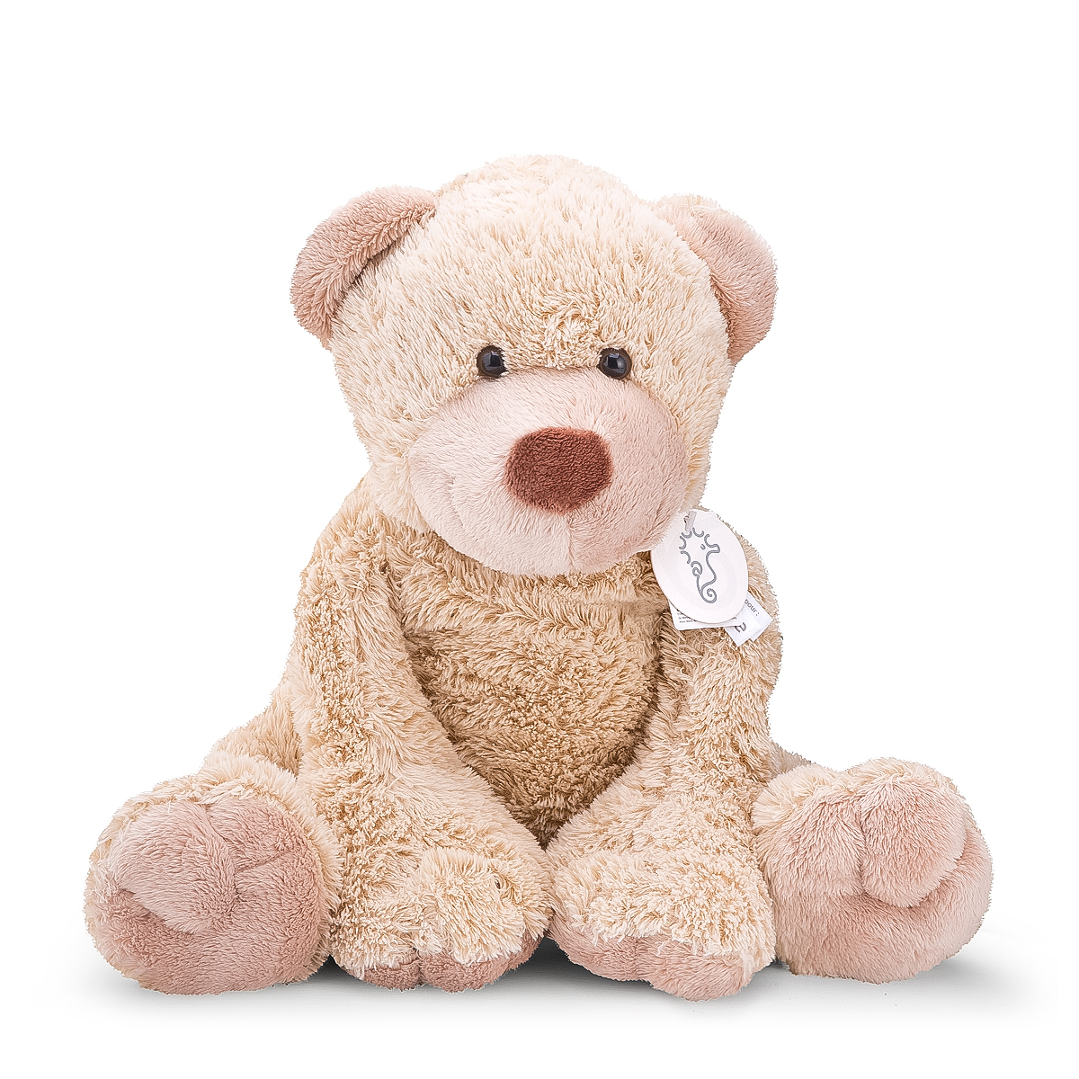 supreme teddy
